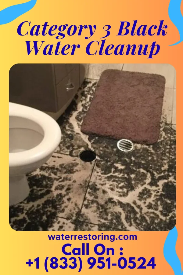 Category 3 Black Water Cleanup in Duane Lake, NY