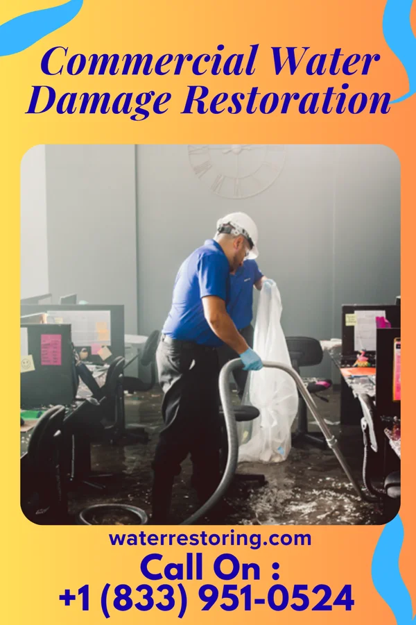 Commercial Water Damage Restoration in Duane Lake, NY