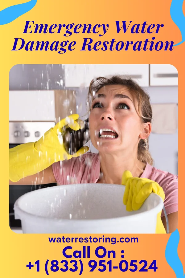 Emergency Water Damage Restoration in Duane Lake, NY