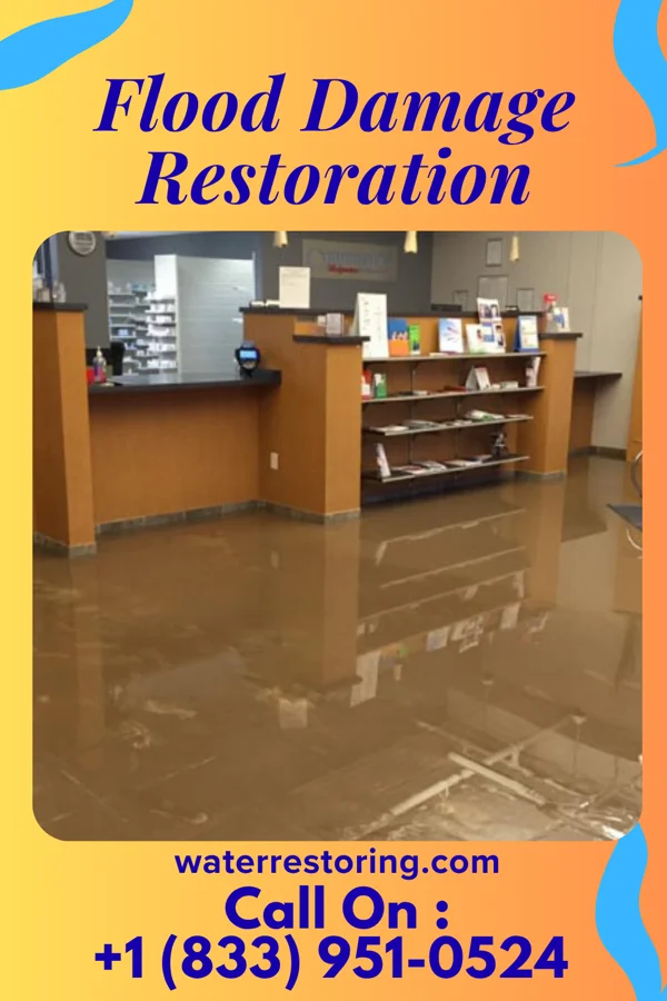 Flood Damage Restoration in Duane Lake, NY