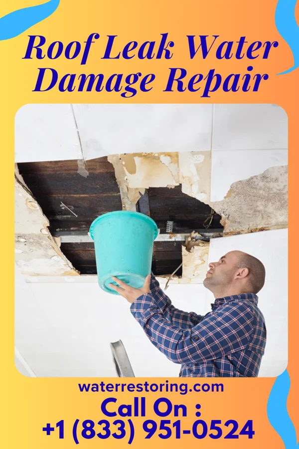 Roof Leak Water Damage Repair in Duane Lake, NY
