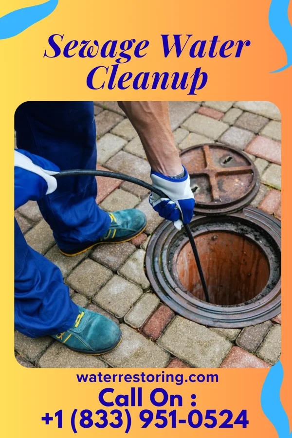 Sewage Water Cleanup in Duane Lake, NY